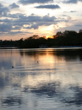 St. Jame's Park lake. Photographer: Enrique F. de la Calle