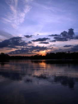 St. Jame's Park lake. Fotografía: Enrique F. de la Calle