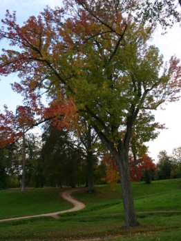 Versailles Gardens. Photographer: Enrique F. de la Calle