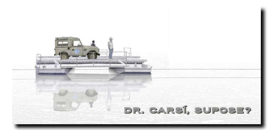 Dr. Carsi, I suppose.